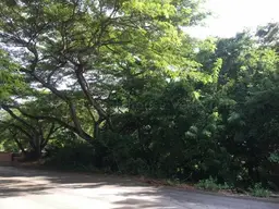 Vista 5