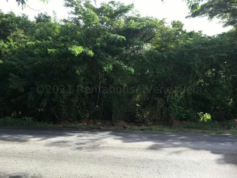 Terreno (Comercial) en Venta en La Asuncion, Nueva Esparta - 6
