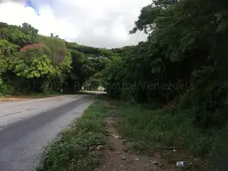Vista 7