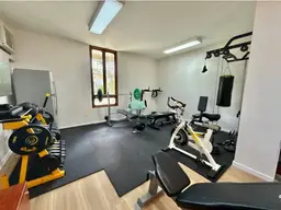 Vista 20