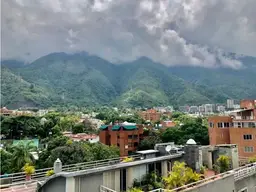 Vista 14
