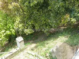 Vista 9