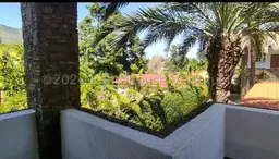 Vista 19
