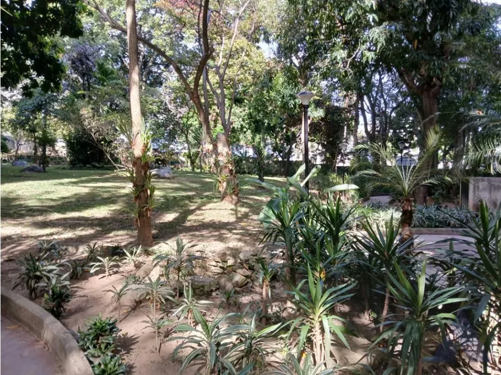 Vendo apartamento 232m2 Santa Eduvigis 1634 - 29