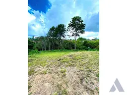 Vista 4
