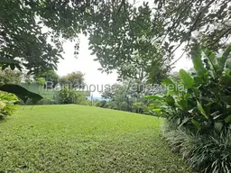 View 53