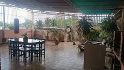 View 50
