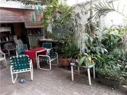 Vista 19
