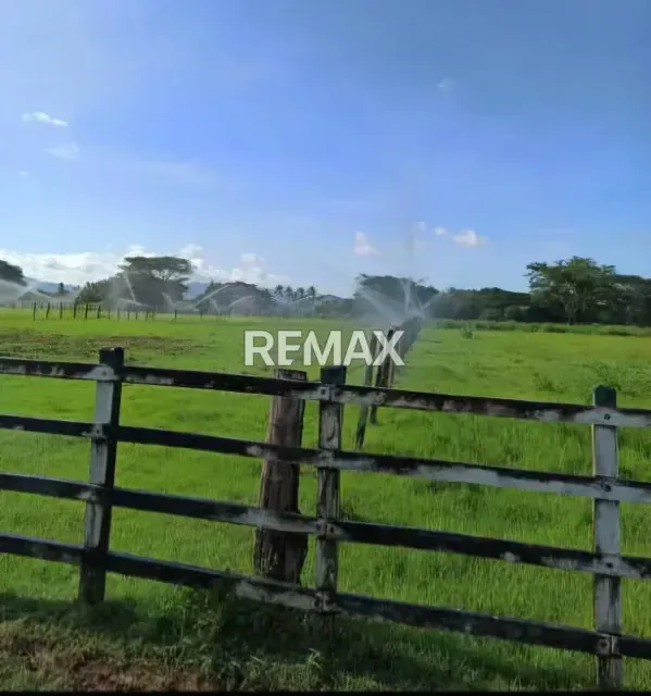 En venta Finca Clarines Estado Anzoátegui Lista para Producir - 2