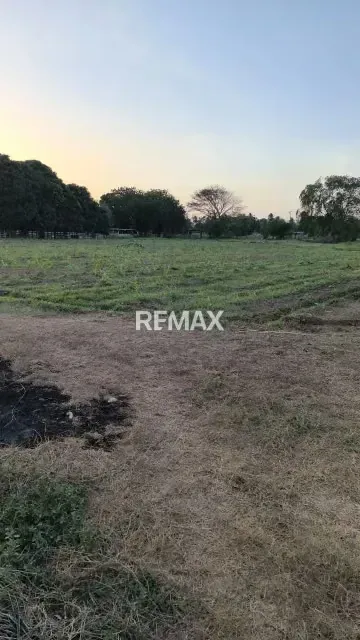 En venta Finca Clarines Estado Anzoátegui Lista para Producir - 6