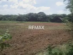 View 7
