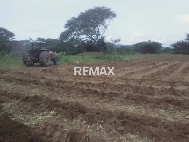 En venta Finca Clarines Estado Anzoátegui Lista para Producir - 8