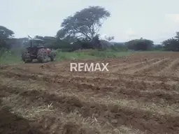 View 8