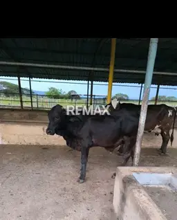 View 10