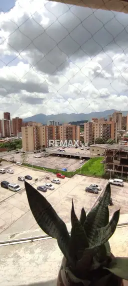 View 11