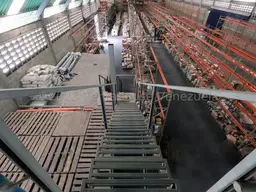 View 19