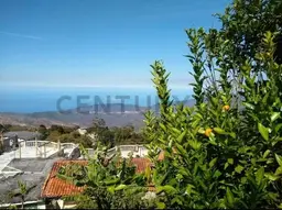 Vista 4