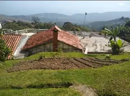 Vista 5