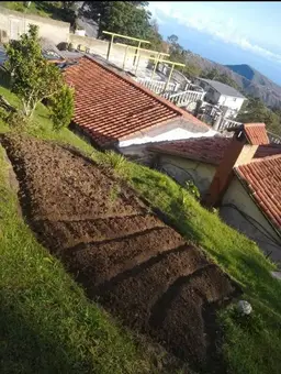 Vista 6