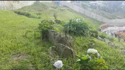 Vista 7