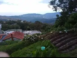Vista 9
