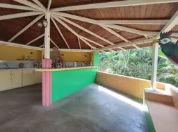 View 42