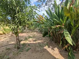 View 67