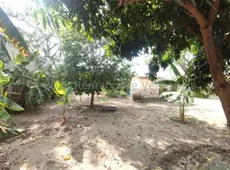 View 68