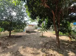 View 69