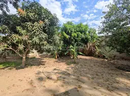 View 71