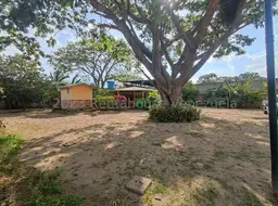View 74