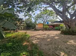 View 75