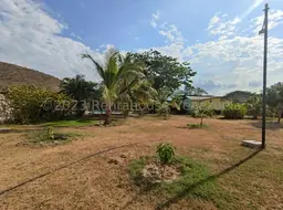 View 77