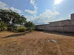 View 81