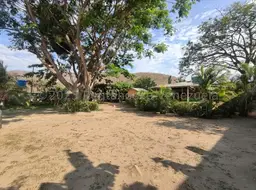 View 86