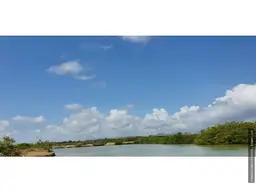 View 31