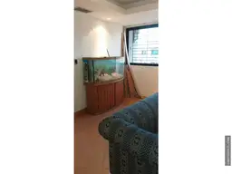 Vista 11