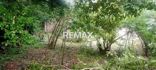 Terreno en venta El Cuji Sector el Jayo - 3