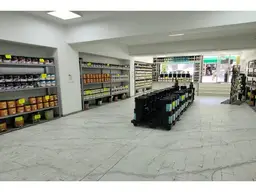 Vista 6