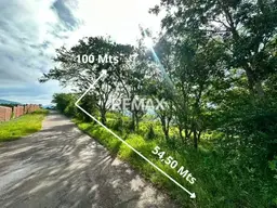 Vista 6