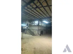 View 4