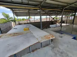Vista 15