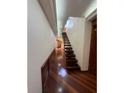 Vista 5