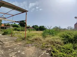 Vista 29