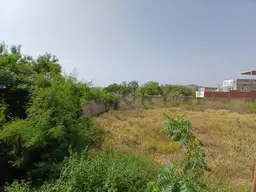 Vista 30