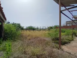 Vista 31