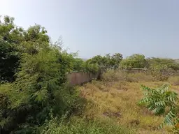Vista 35