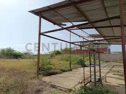 Vista 36