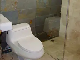 Vista 11