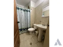 Vista 12